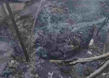 बलौदाबाजार: गिरौदपुरी धाम में भीषण आग, 6 से ज्यादा दुकानें जलकर खाक, VIDEO