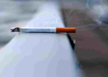 तंबाकू छोड़ने से बदलेगी किस्मत: 2 करोड़ से ज्यादा परिवार हो सकते हैं आर्थिक रूप से मजबूत