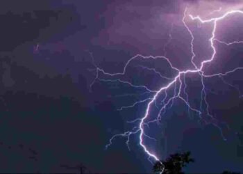 सरगुजा में आकाशीय बिजली का कहर: 16 मवेशियों की मौत, किसानों को भारी नुकसान