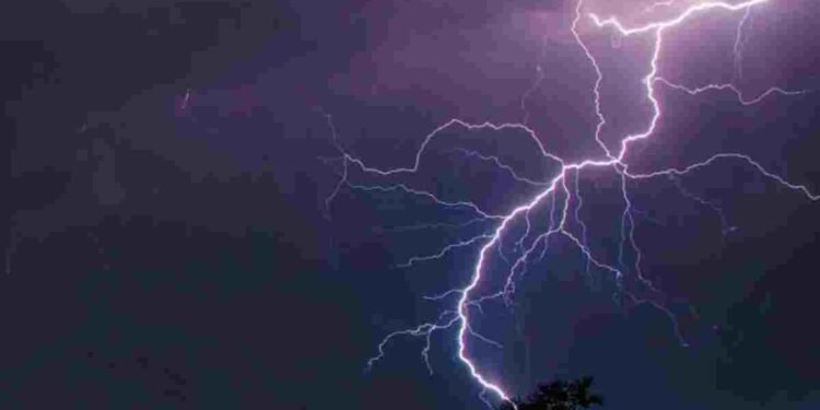 सरगुजा में आकाशीय बिजली का कहर: 16 मवेशियों की मौत, किसानों को भारी नुकसान