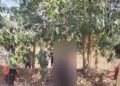 CG NEWS: इश्क का खौफनाक अंत: कीटनाशक पीने के बाद युवक-युवती ने आम के पेड़ पर लगाई फांसी