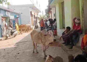 कवर्धा में सनसनी: 4 बच्चों को छोड़ भागे प्रेमी जोड़े का खौफनाक अंत, अलग-अलग फंदे पर लटकी मिली लाश