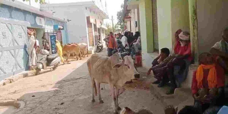 कवर्धा में सनसनी: 4 बच्चों को छोड़ भागे प्रेमी जोड़े का खौफनाक अंत, अलग-अलग फंदे पर लटकी मिली लाश