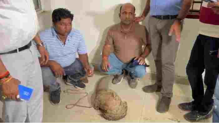 रायपुर में 50 करोड़ की पैंगोलिन तस्करी का पर्दाफाश: 2 तस्कर गिरफ्तार, मास्टरमाइंड फरार