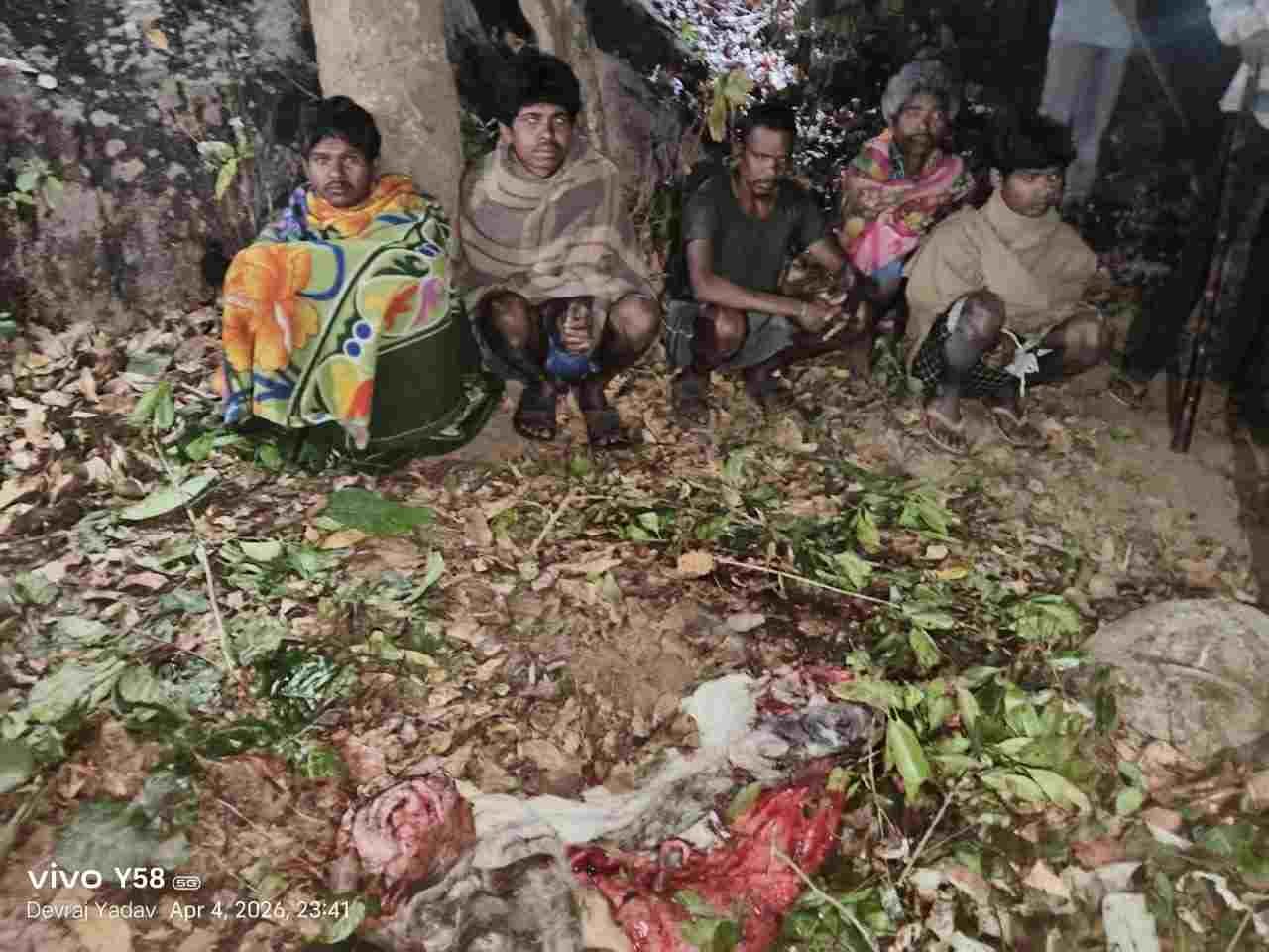 CG NEWS- बछड़े को मारकर खाते रंगे हाथों पकड़े गए आरोपी, पुलिस ने 4 को दबोचा!