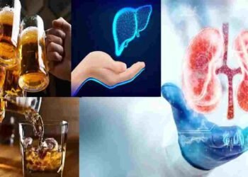 रायपुर में चौंकाने वाला खुलासा: शराब से किडनी फेलियर के मामले बढ़े, 40% मरीज अल्कोहल से गंभीर रूप से प्रभावित