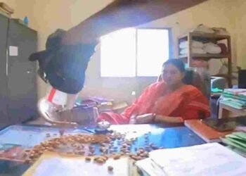 “मैडम… बादाम खाइए”: बिलासपुर में युवक का अनोखा विरोध, नामांतरण के लिए सालभर से लगा रहा चक्कर, VIDEO