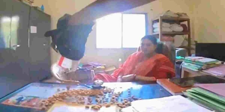 “मैडम… बादाम खाइए”: बिलासपुर में युवक का अनोखा विरोध, नामांतरण के लिए सालभर से लगा रहा चक्कर, VIDEO