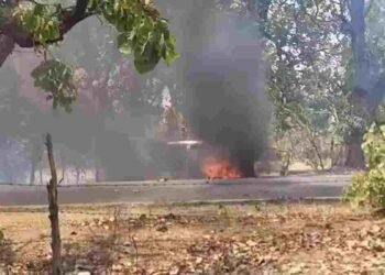 पेंड्रा में भीषण सड़क हादसा: झपकी आने से पेड़ से टकराई बोलेरो, कार में लगी आग