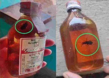 सरकारी शराब दुकान पर सवाल: बंद बोतल में निकला कॉकरोच
