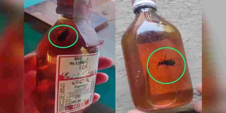 सरकारी शराब दुकान पर सवाल: बंद बोतल में निकला कॉकरोच