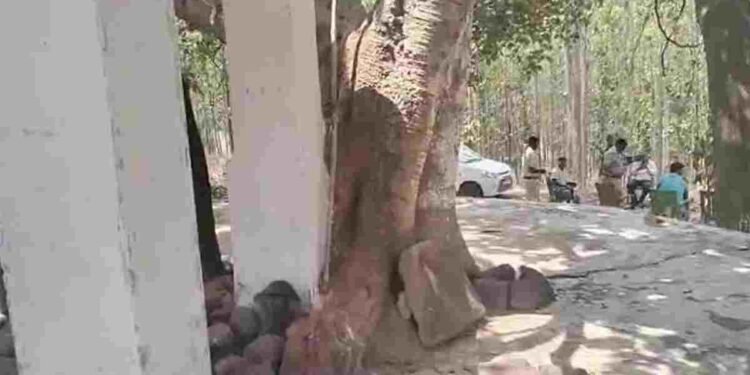 CG NEWS: प्राचीन मंदिर में असामाजिक तत्वों की करतूत, मूर्ति तोड़ी, झंडा जलाया