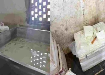 रायपुर में नकली पनीर पर बड़ी कार्रवाई: 1000 किलो से ज्यादा एनालॉग पनीर नष्ट, 2 फैक्ट्रियों पर छापा