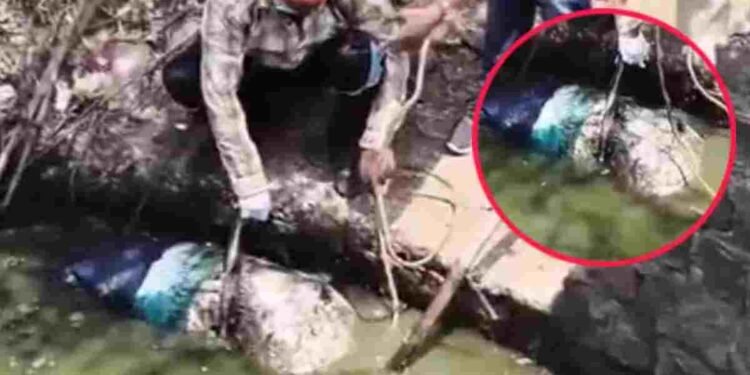 महासमुंद में सनसनीखेज हत्याकांड: कुएं में बोरी में मिला सड़ा-गला शव