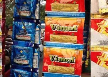 प्लास्टिक पैकेट में अब नहीं बिकेगा पान मसाला! सरकार का बड़ा कदम