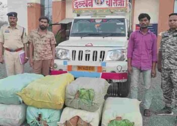 महासमुंद पुलिस का बड़ा धमाका: 1.22 करोड़ की जब्ती, खाली कैरेट के नीचे छिपा था ‘सफेद जहर’