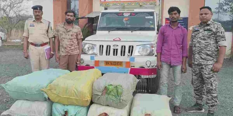 महासमुंद पुलिस का बड़ा धमाका: 1.22 करोड़ की जब्ती, खाली कैरेट के नीचे छिपा था ‘सफेद जहर’