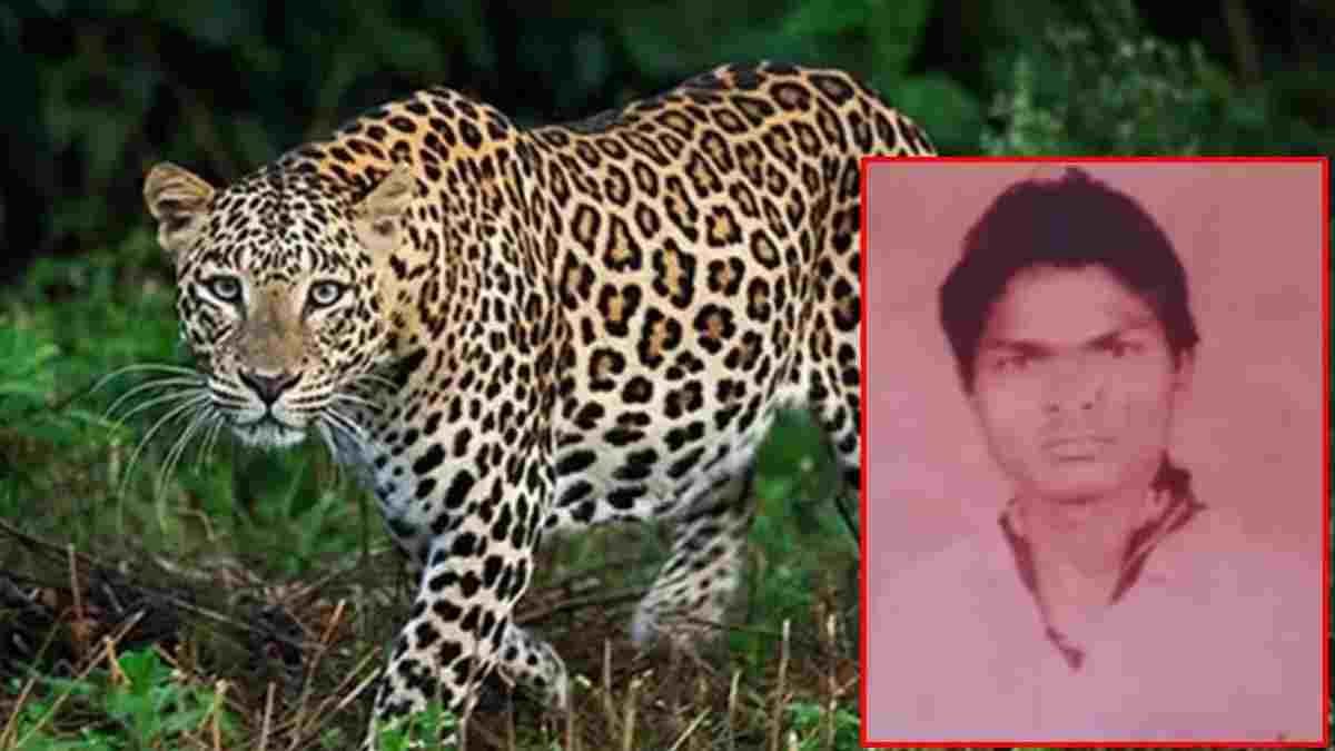 धमतरी में तेंदुए का खूनी आतंक: शौच के लिए निकले ग्रामीण को उतारा मौत के घाट, पहाड़ी पर मिला क्षत-विक्षत शव