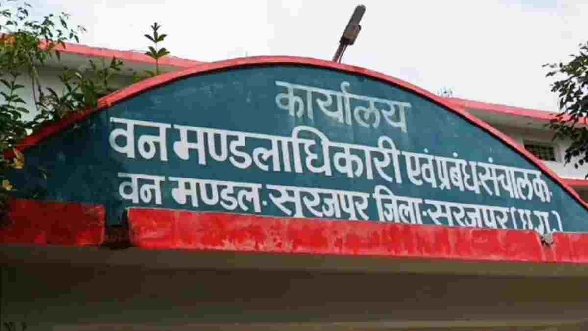 सूरजपुर में एक साथ तीन भालुओं की मौत, करंट लगने की आशंका से वन विभाग में हड़कंप