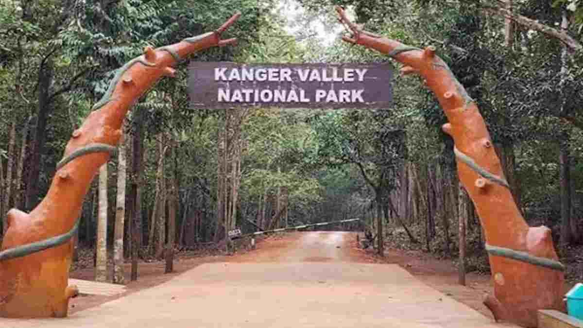 बस्तर में मानसून का अलर्ट: कांगेर घाटी राष्ट्रीय उद्यान और कोटमसर गुफा 1 अक्टूबर तक बंद, तीरथगढ़ जलप्रपात में एंट्री रहेगी चालू