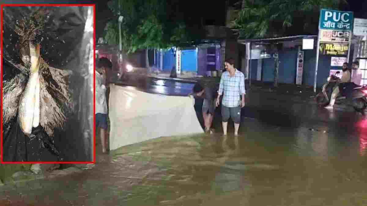NH-43 बनी ‘नहर’, सड़क पर मछली पकड़ने उतरे लोग; पहली ही बारिश ने खोली बैकुंठपुर की जल निकासी व्यवस्था की पोल