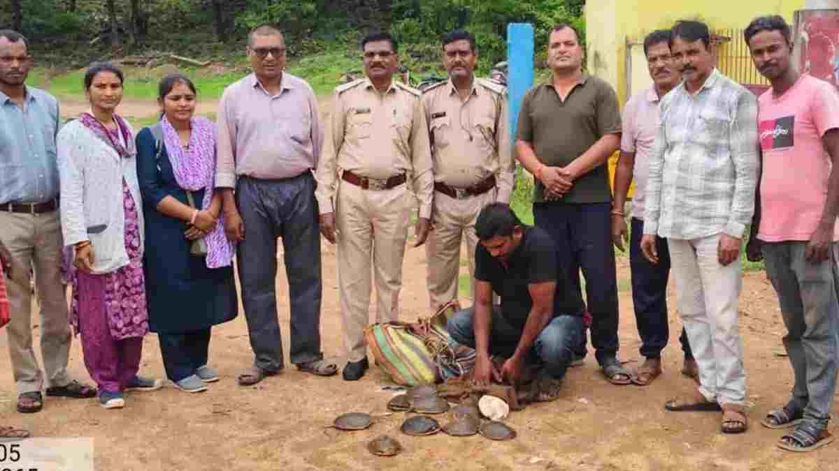 पखांजूर में वन विभाग की बड़ी कार्रवाई, 11 जीवित कछुओं के साथ तस्कर गिरफ्तार