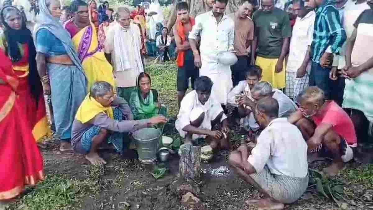 सूरजपुर में अनोखी शादी: अच्छी बारिश के लिए ग्रामीणों ने रचाया मेंढक-मेंढकी का विवाह, ढोल-नगाड़ों के साथ निकली बारात