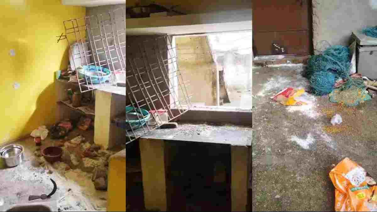 मरवाही में हाथियों की दस्तक, ग्रामीणों में दहशत; घर में घुसकर खाया राशन