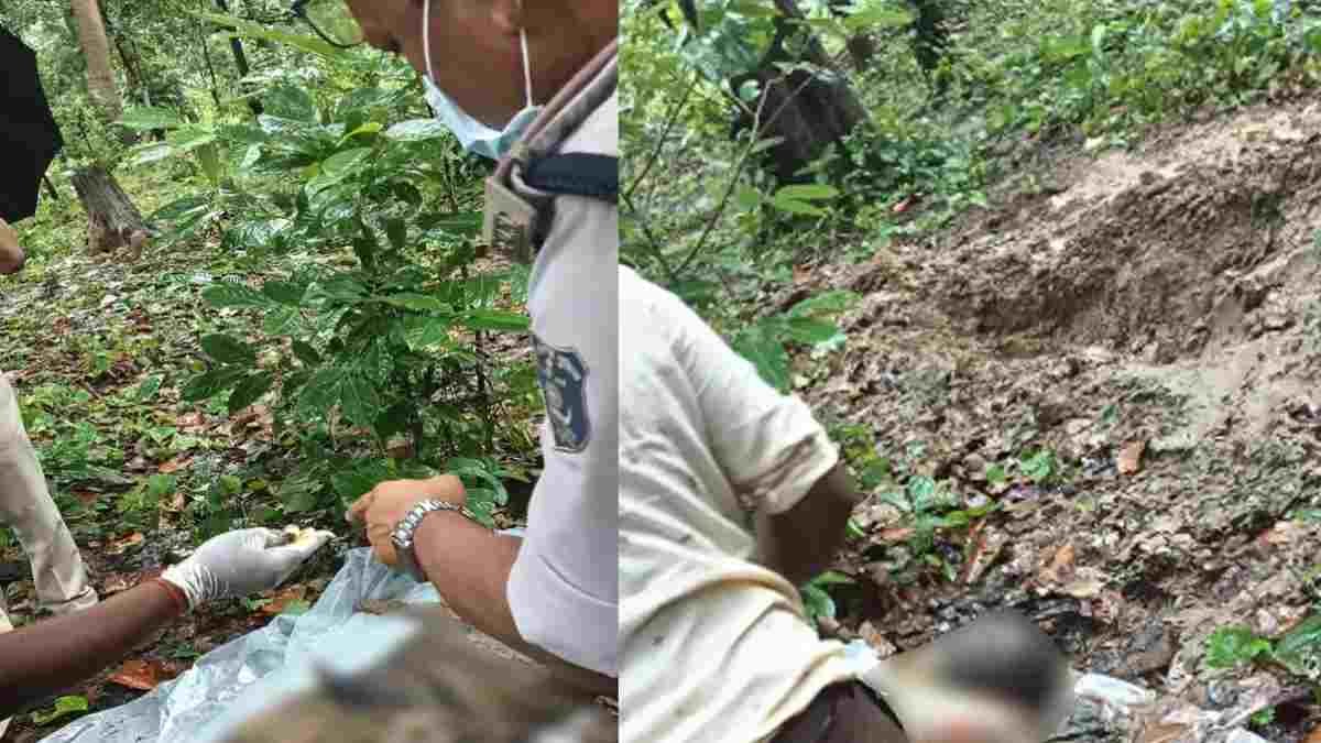 जंगल में मिट्टी के अंदर दफन मिली युवक की सड़ी-गली लाश, हत्या की आशंका; जांच में जुटी पुलिस और FSL टीम