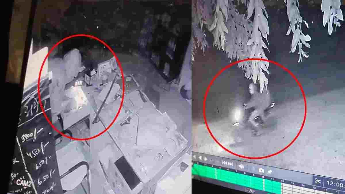 रेनकोट पहनकर चोरी करने वाला गिरोह सक्रिय! कृषि दवाई दुकान से डेढ़ लाख रुपये पार